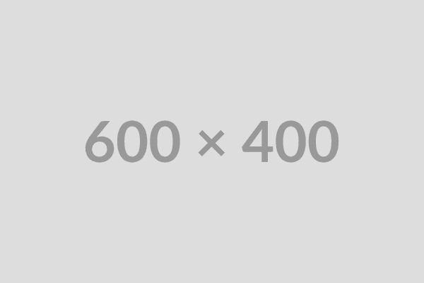 Strategic Digital Solutions Delivery (Ethiopia Focus)